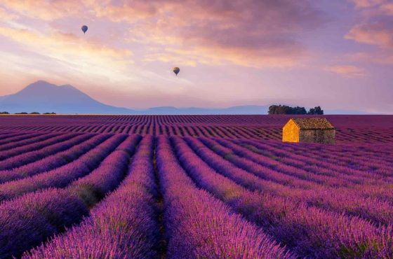 Provence